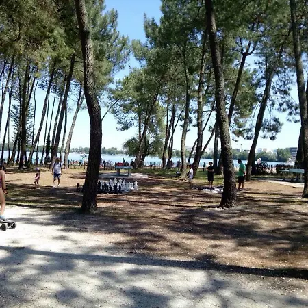 Bel T2 Pres Du Avc Un Parking Prive Apartment Bordeaux